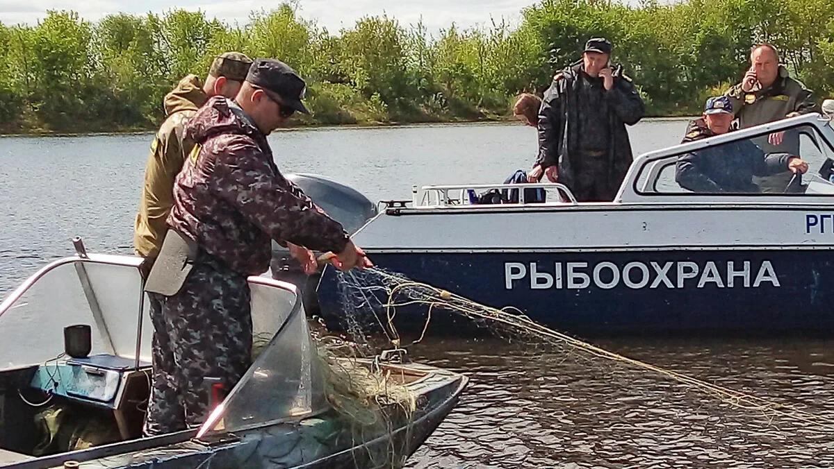 Что инспектор может проверить у рыболова на берегу