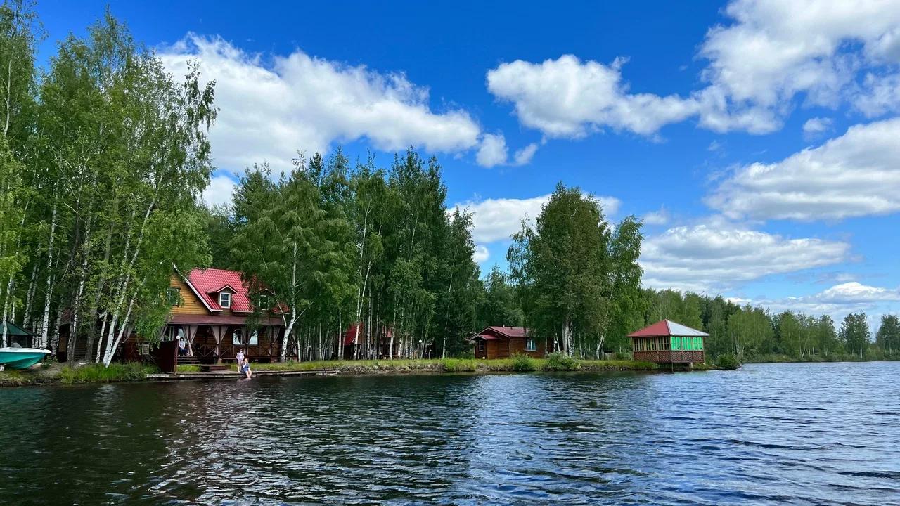 Березовый рай